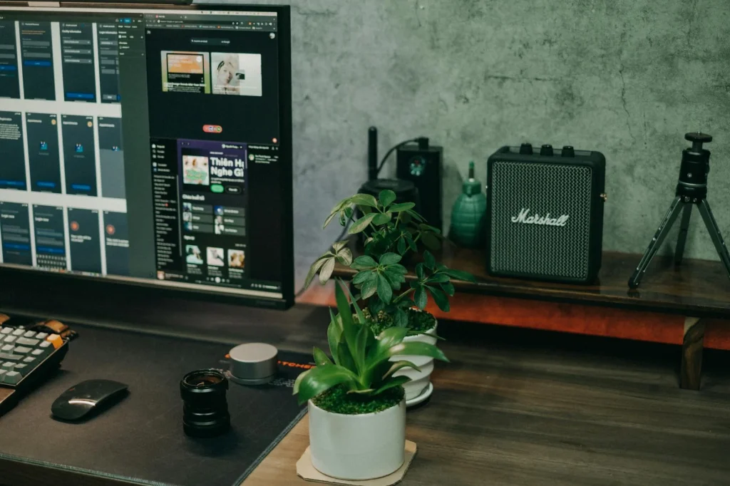 Green plant on a desk beside a computer monitor